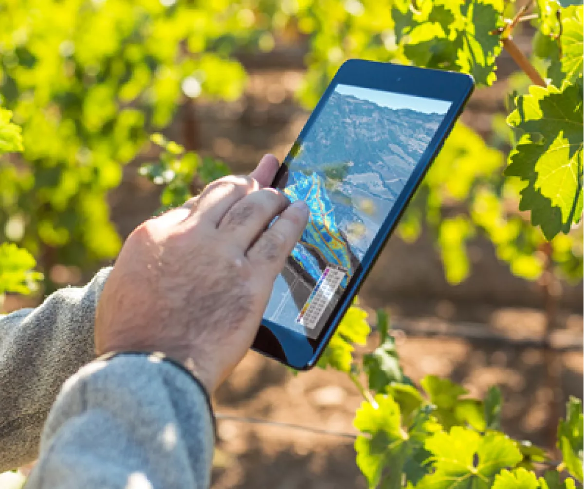 iPad en de wijngaard van morgen: wijnjaren als vroeger, vandaag