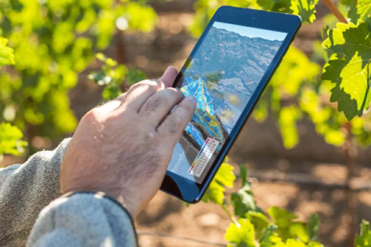 L’iPad et la vigne de demain : des millésimes comme avant, aujourd’hui