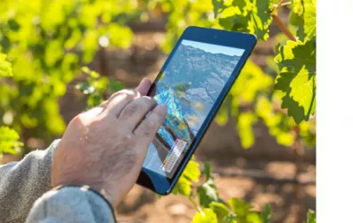 L’iPad et la vigne de demain : des millésimes comme avant, aujourd’hui